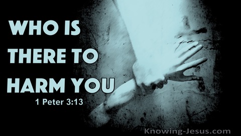 1 Peter 3:13 Who Is There To Harm You (black)